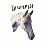 A digitally drawn white horse, with his name, "Drummer" in digitally calligraphy.