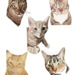 A digitally drawn pet portrait of five cats. One's a tabby, one's tabby, white and ginger, one's tabby and white, and the remaining two are shades of ginger.