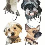 A digitally drawn pet portrait of four different dogs, two are chihuahua type breeds, and the other two are very fluffy. With their names, "Benny, Reilly, Drummer and Tayto" in digitally calligraphy.