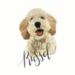 A digitally drawn cream, fluffy dog, with his name "Russel" in black, digital calligraphy