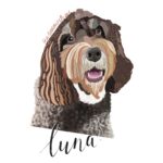 A digitally drawn chocolate brown long-haired dog, with her name "Luna" in black, digital calligraphy