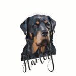 A digitally drawn Rottweiler dog, with his name "Harley" in black, digital calligraphy