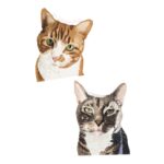 A digitally drawn pet portrait of two cats, one is ginger and white, and the other is tabby and white.