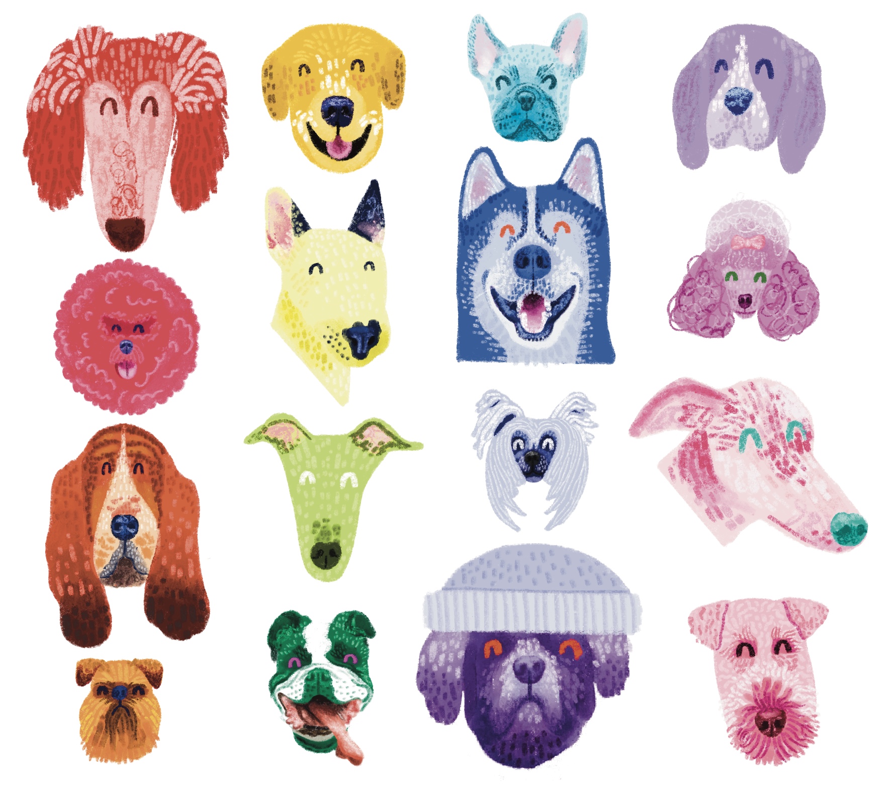 A grid of 12 different breeds of dog heads in rainbow colours - an extract from We are sunshine, rainbows and all the inbetweens children's picture book!