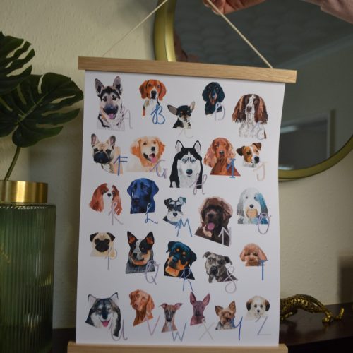 ABC dog print with a digitally illustrated dog for every letter.